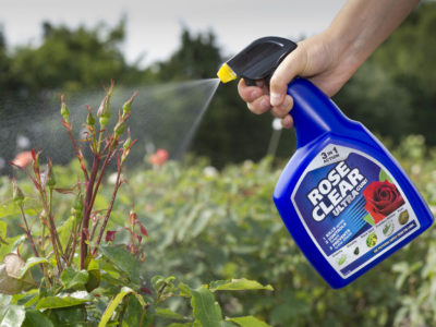 Rose Clear Ultra Gun! 017681 product being sprayed on plant