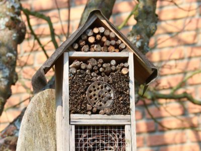 insect-hotel-4968205_1920