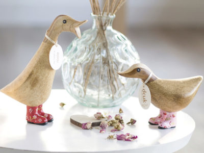 Ducks with Floral Welly Boots 3