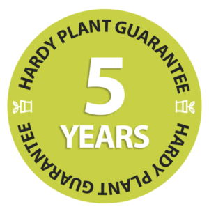 Hardy Plants V2
