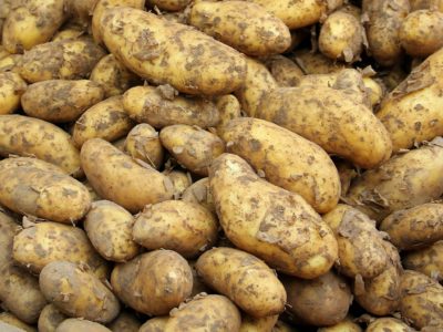 potato-1422580_1920