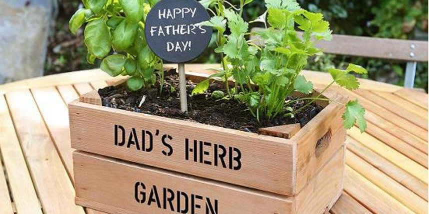 Vegetable Patch 'Shed Full Of Gifts' Small Gift Box