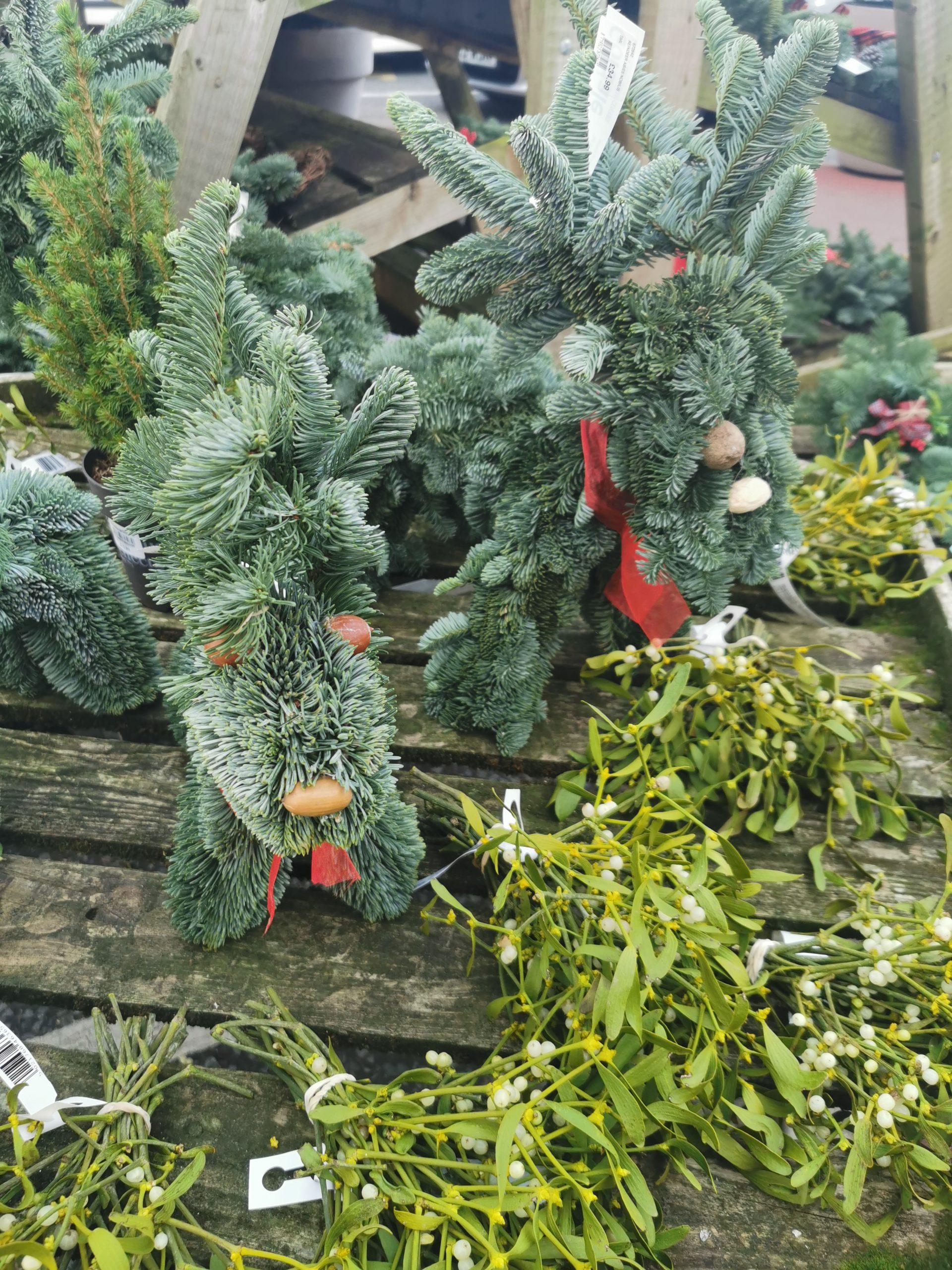 2021's Best Winter Garden Decorations Gordale Garden & Home Centre