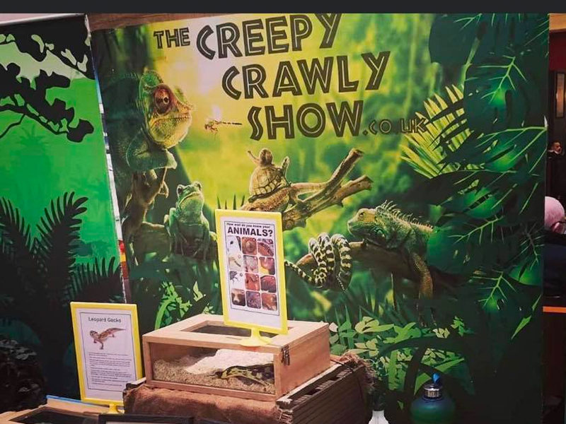Creepy Crawly Show
