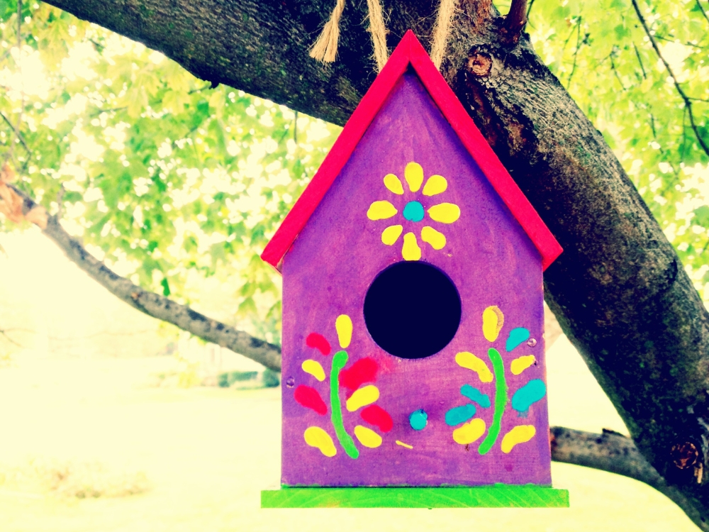 Birdbox